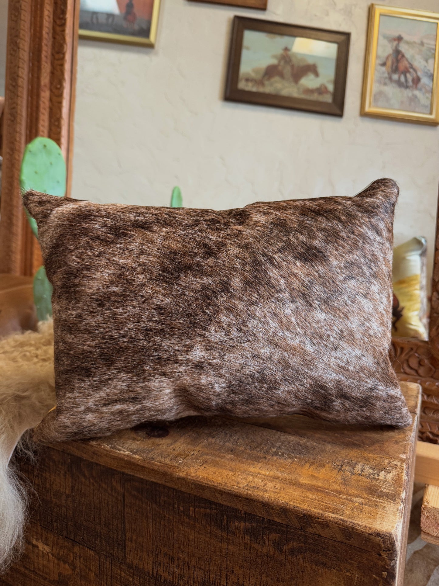 The Stray Pillow
