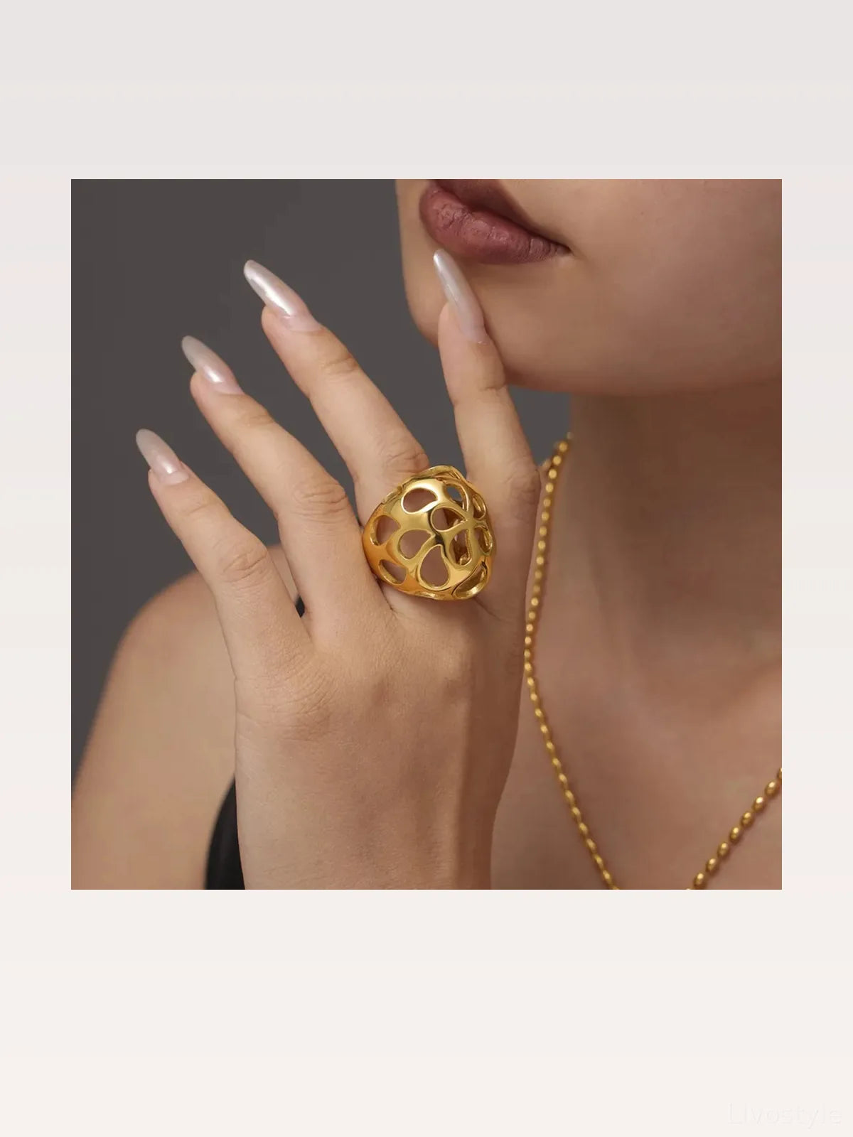 Stainless Steel Cutout Ring
