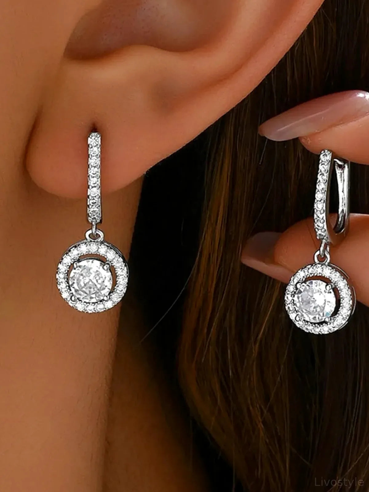 Stainless Steel Zircon Drop Earrings
